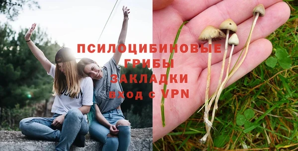 кокс Снежногорск