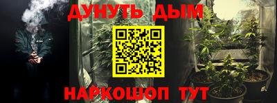 гашик Берёзовский