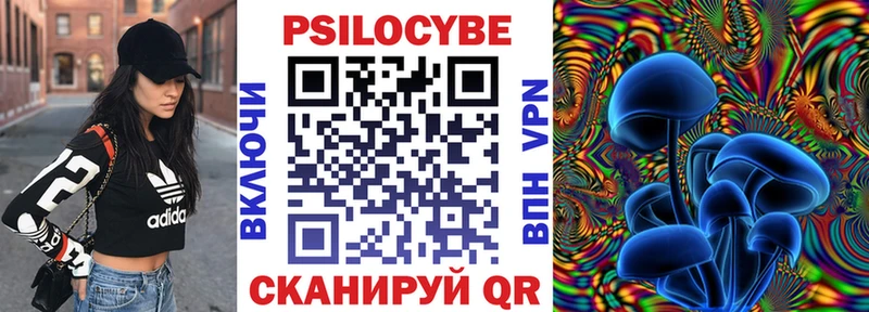 закладки  ссылка на мегу как войти  Псилоцибиновые грибы прущие грибы  Выборг 