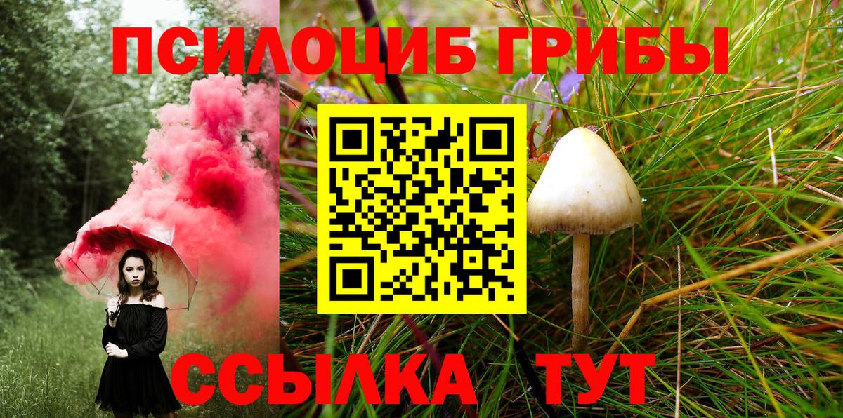 Галлюциногенные грибы мухоморы Выборг