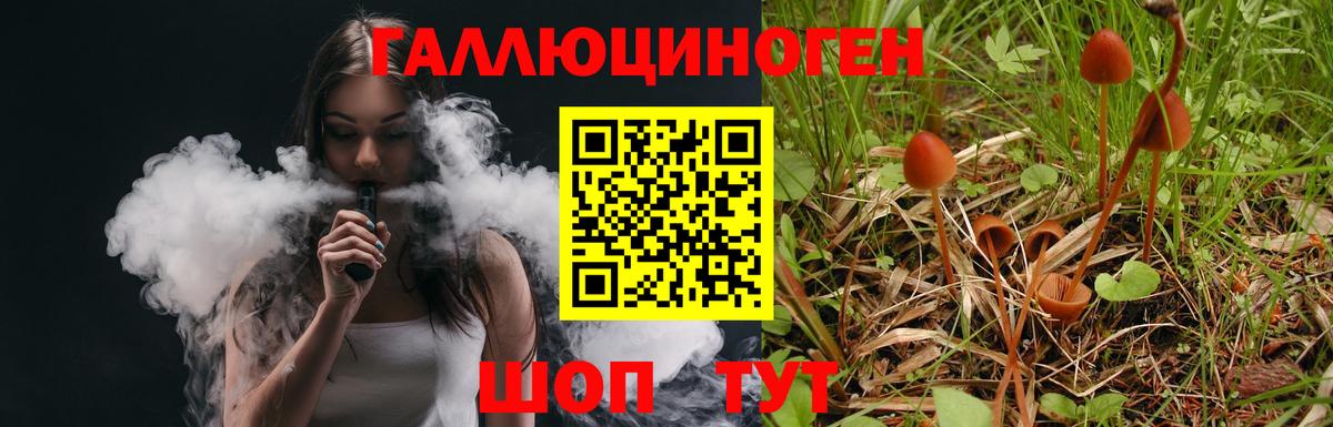 Псилоцибиновые грибы Cubensis  Вход с VPN  где можно купить наркотик  Выборг 